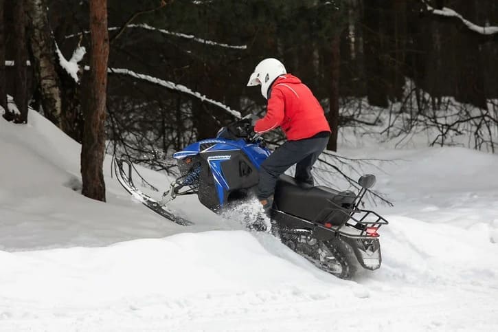 Купить Снегоход SHARMAX SN-280 в Москве фото18