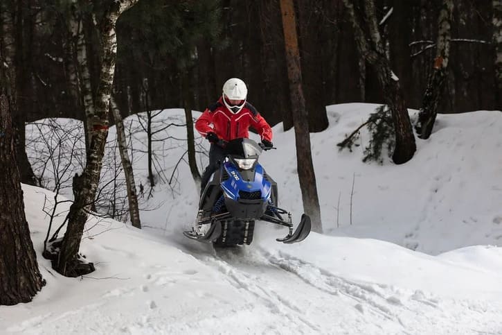 Купить Снегоход SHARMAX SN-280 в Москве фото19