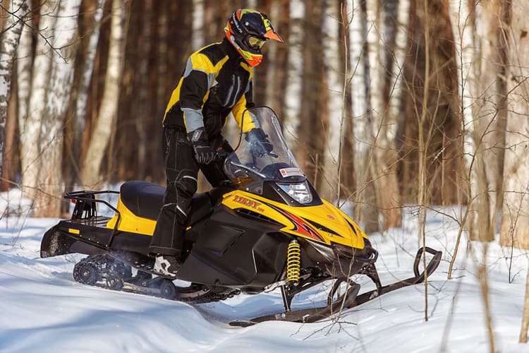 Купить Снегоход РУССКАЯ МЕХАНИКА Tiksy 250 Люкс в Москве фото3