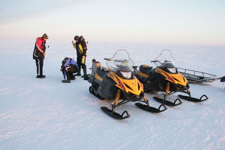 Купить Снегоход РУССКАЯ МЕХАНИКА Tiksy 250 Люкс в Москве фото5