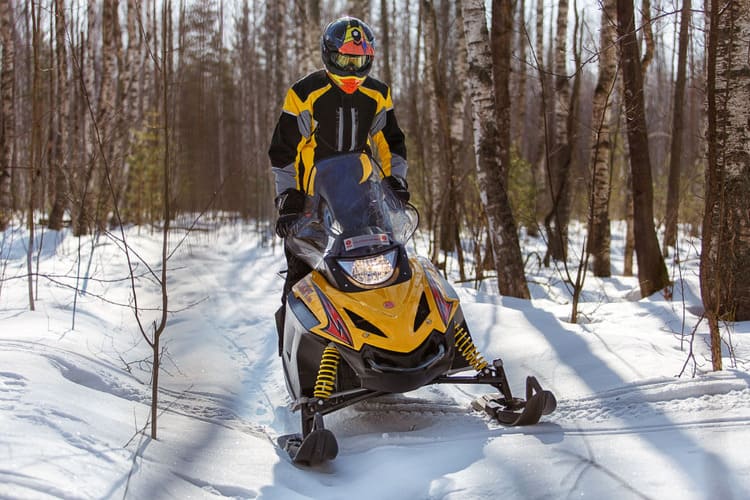 Купить Снегоход РУССКАЯ МЕХАНИКА Tiksy 250 Люкс в Москве фото6