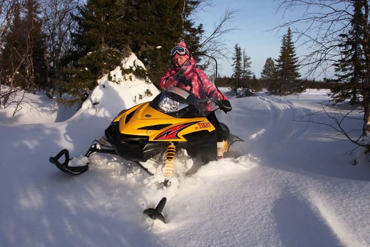 Купить Снегоход РУССКАЯ МЕХАНИКА Tiksy 250 Люкс в Москве фото8