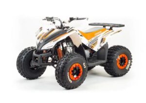 Купить Квадроцикл MOTOLAND 125 Coyote (2021 Г.) 