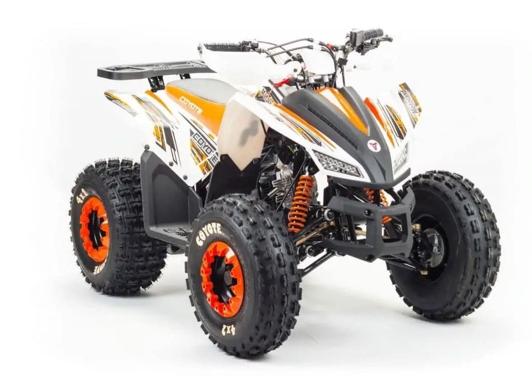 Купить Квадроцикл MOTOLAND 125 Coyote (2021 Г.) в Краснодаре фото2