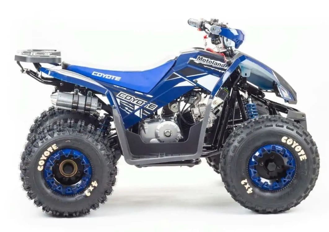 Купить Квадроцикл MOTOLAND 125 Coyote (2021 Г.) в Краснодаре фото6