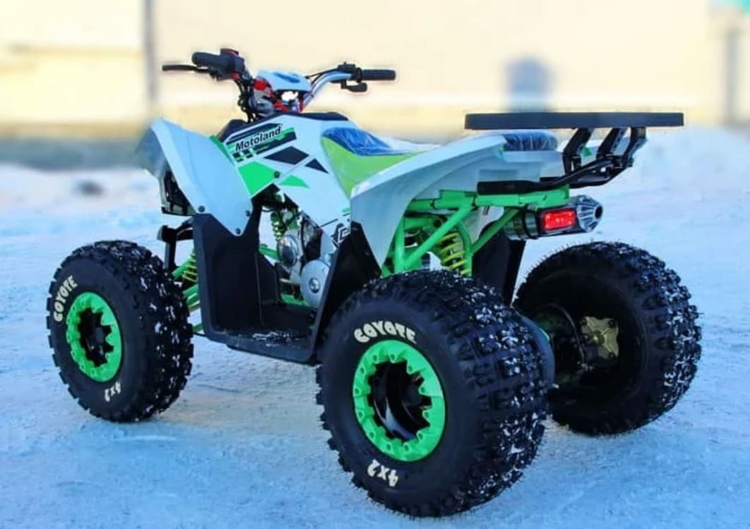 Купить Квадроцикл MOTOLAND 125 Coyote (2021 Г.) в Краснодаре фото8