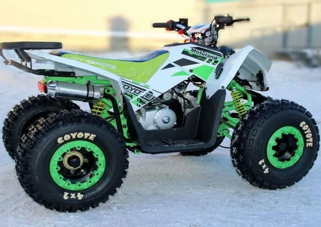 Купить Квадроцикл MOTOLAND 125 Coyote (2021 Г.) в Краснодаре фото9