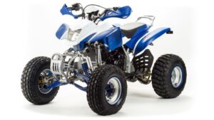 Купить Квадроцикл MOTOLAND 250 Dakar 