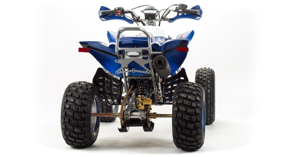 Купить Квадроцикл MOTOLAND 250 Dakar в Краснодаре фото5