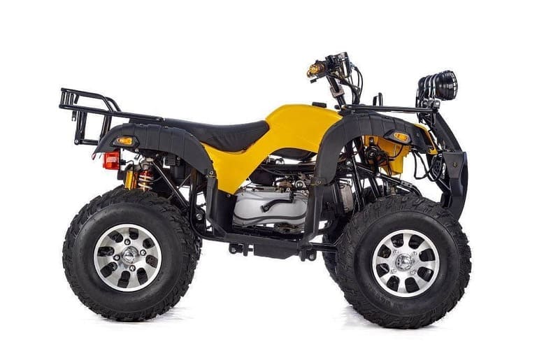 Купить Квадроцикл RAPTOR Max Pro 250 (жёлтый/чёрный) (2024) в Краснодаре фото2