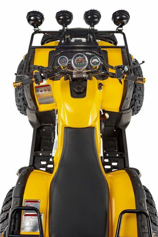 Купить Квадроцикл RAPTOR Max Pro 250 (жёлтый/чёрный) (2024) в Краснодаре фото5