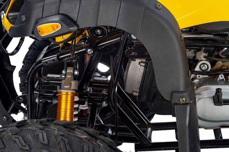 Купить Квадроцикл RAPTOR Max Pro 250 (жёлтый/чёрный) (2024) в Краснодаре фото12