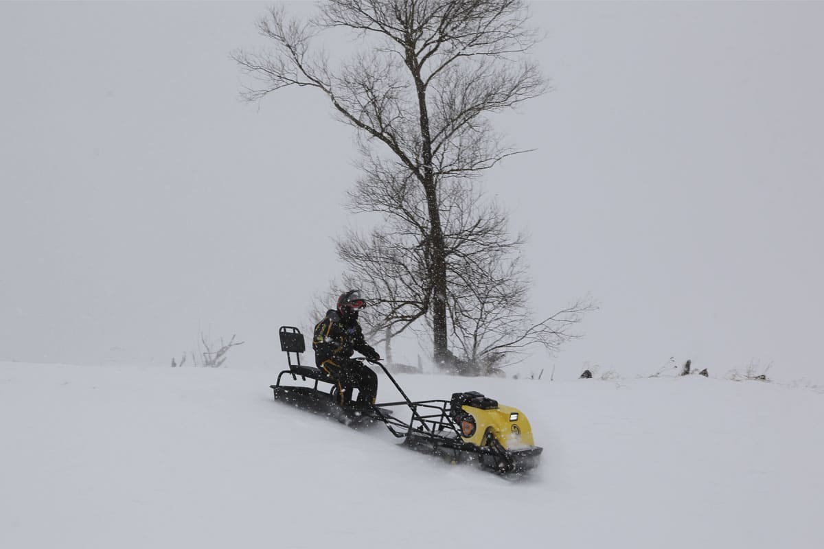 Купить Мотобуксировщик РЫБАК PKD. PSD 17 л.с. (длинная база 1430мм) в Москве фото14