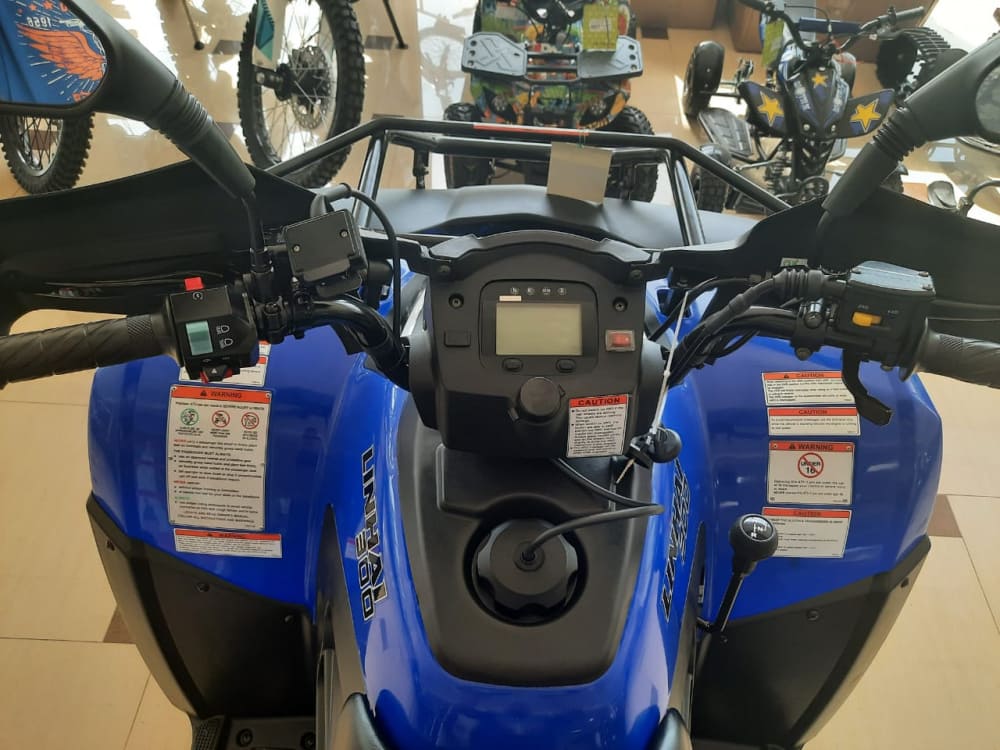 Купить Квадроцикл LINHAI-YAMAHA D300 в Москве фото17