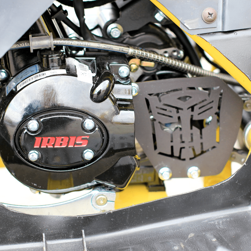 Купить Квадроцикл IRBIS ATV 125 в Москве фото5