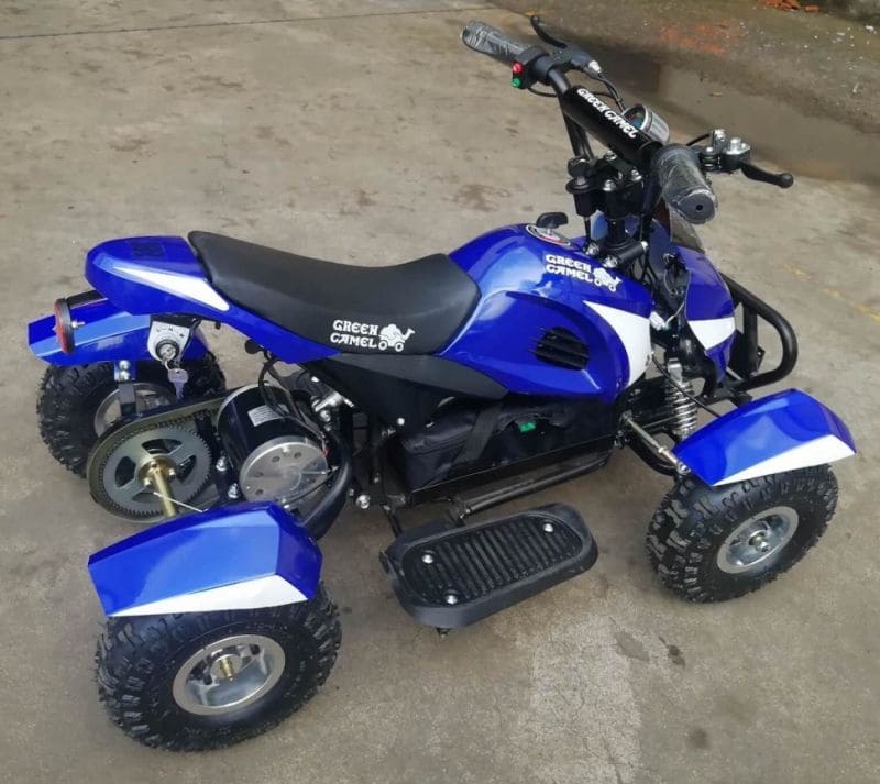 Купить Электроквадроцикл GREEN CAMEL Гоби K22 в Москве фото4