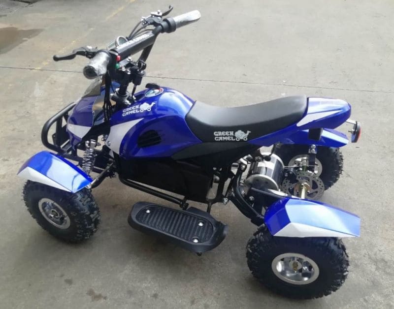 Купить Электроквадроцикл GREEN CAMEL Гоби K22 в Москве фото5