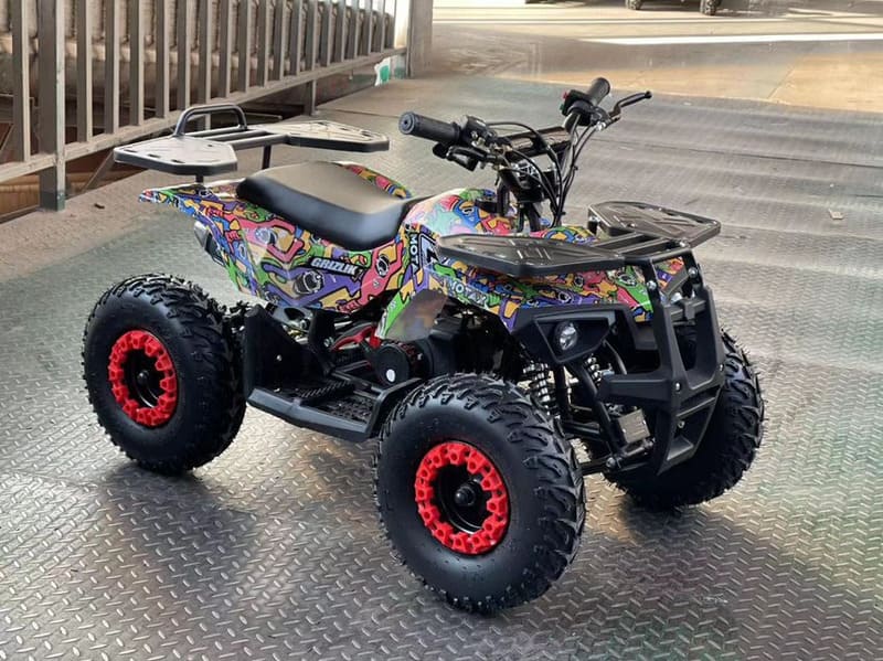 Купить Электроквадроцикл MOTAX GRIZLIK X16 NEW E1000 BW в Красноярске фото2