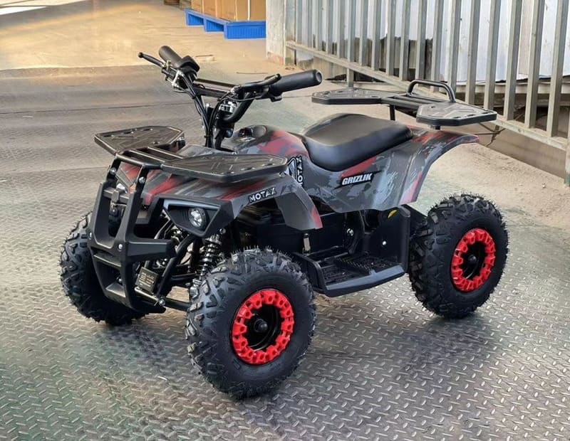 Купить Электроквадроцикл MOTAX GRIZLIK X16 NEW E1000 BW в Красноярске фото6