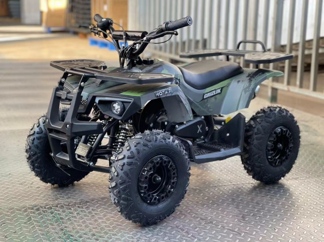 Купить Электроквадроцикл MOTAX GRIZLIK X16 NEW E1000 BW в Красноярске фото7