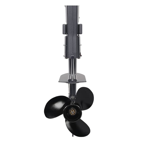 Купить 2х-тактный лодочный мотор ALLFA CG T5 в Москве фото2