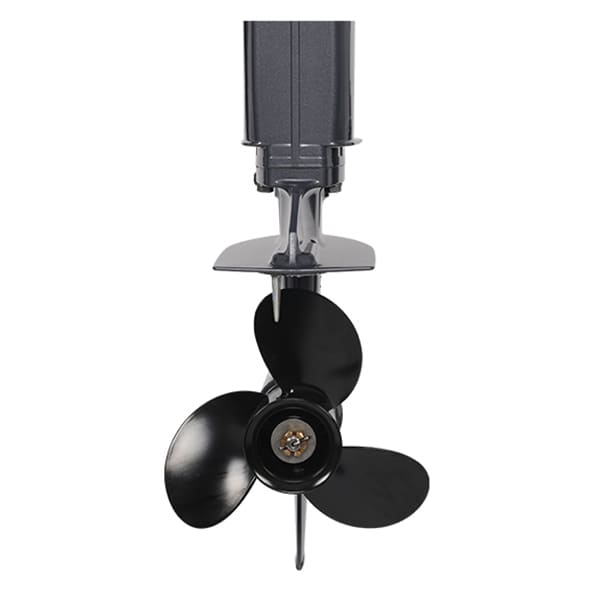 Купить 2х-тактный лодочный мотор ALLFA CG T9.9 MAX в Москве фото3