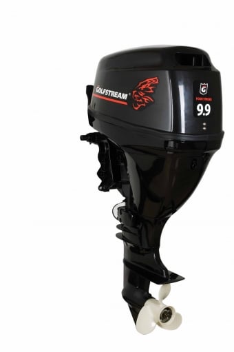 Купить 4х-тактный лодочный мотор GOLFSTREAM F 9.9 FWS в Москве