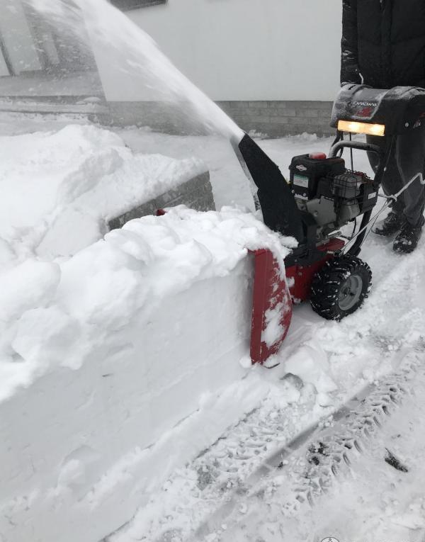 Купить Снегоуборщик CANADIANA CL61900R в Москве фото7