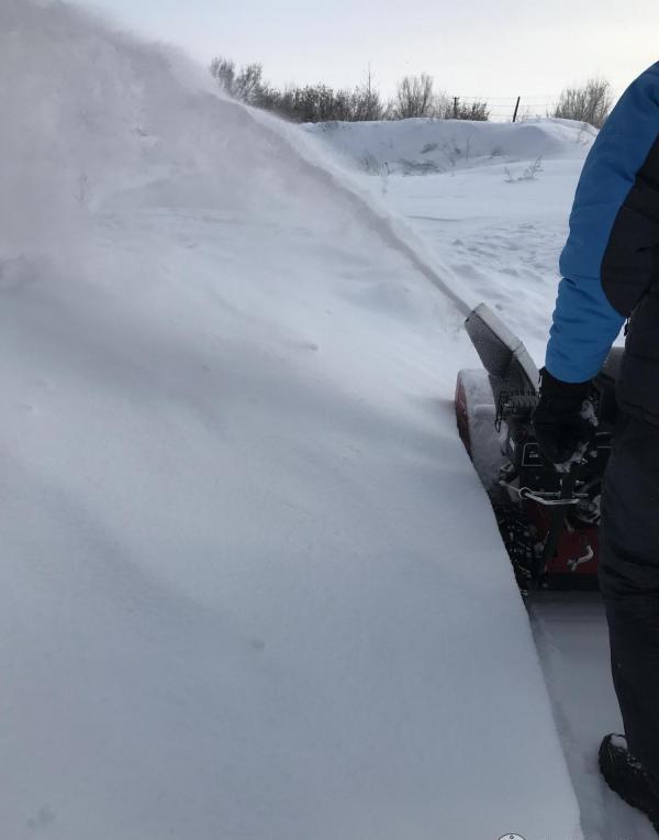 Купить Снегоуборщик CANADIANA CL61900R в Москве фото10