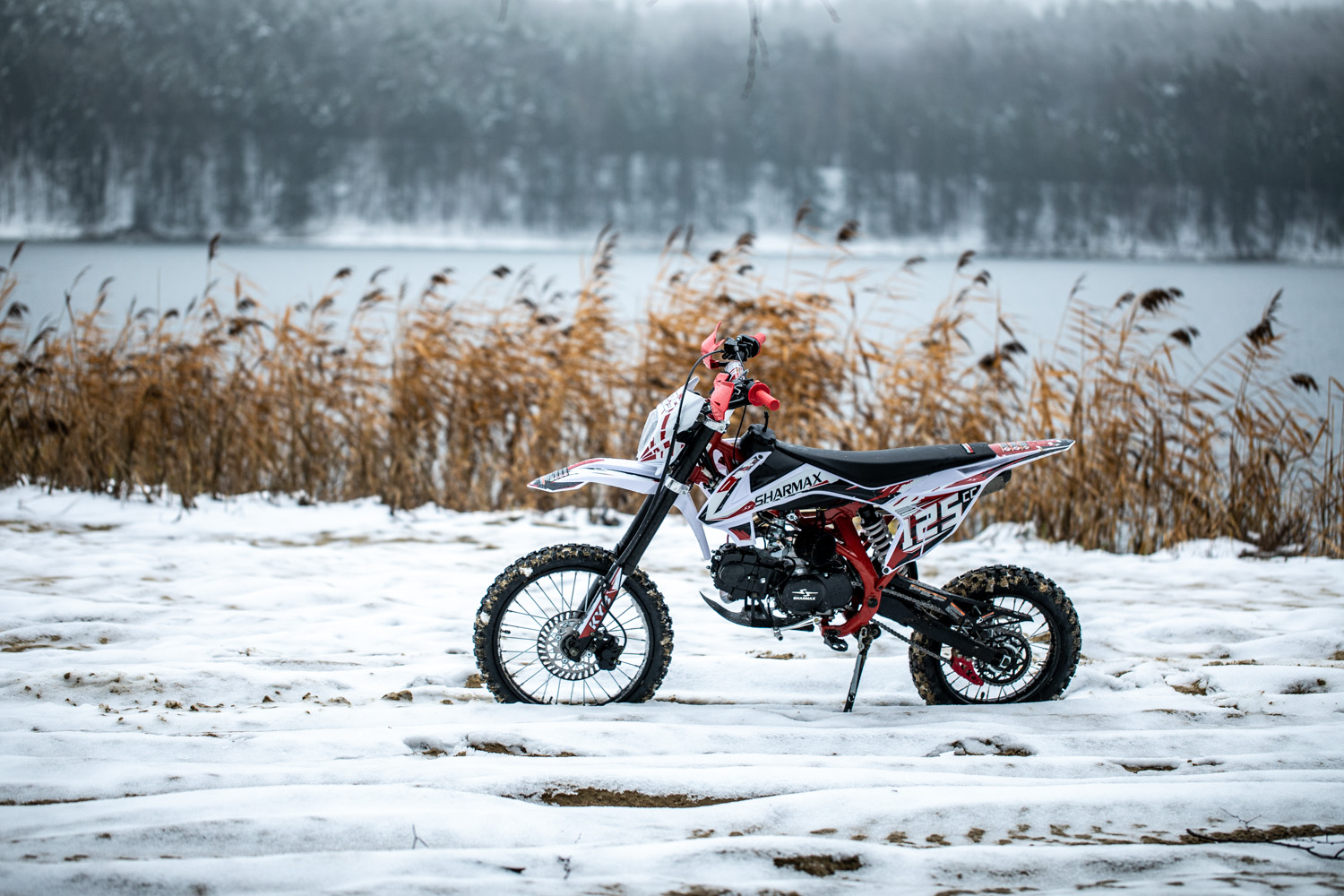 Купить Мотоцикл питбайк SHARMAX PowerMax 125 (2024) в Москве фото15