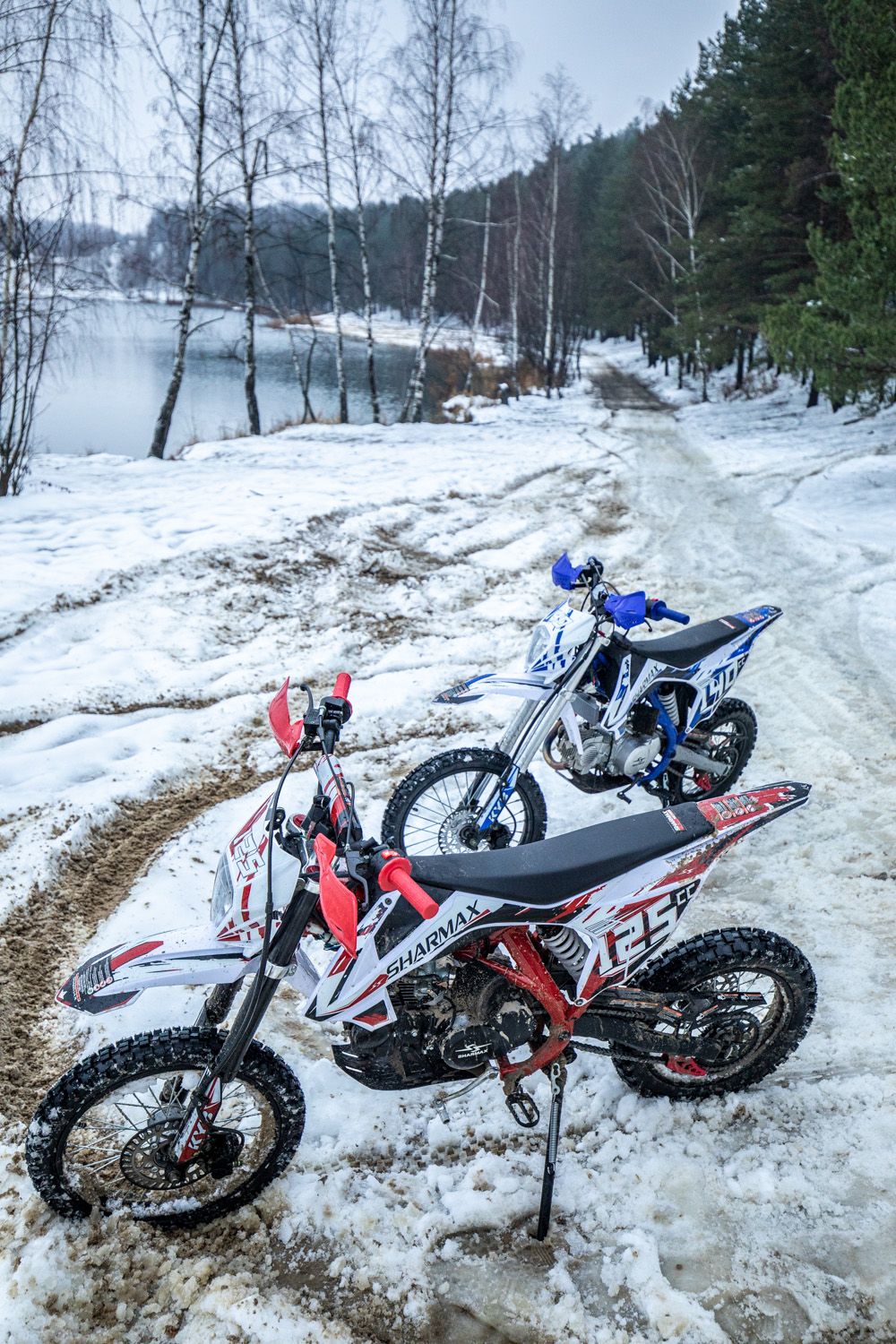 Купить Мотоцикл питбайк SHARMAX PowerMax 125 (2024) в Москве фото18