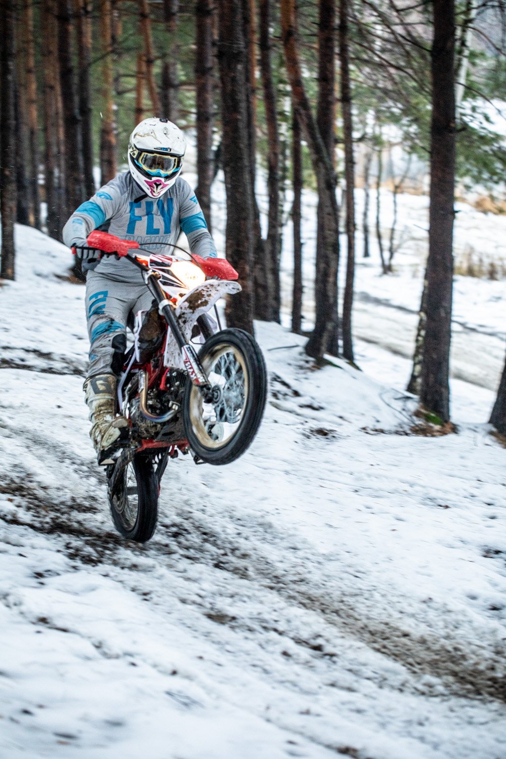 Купить Мотоцикл питбайк SHARMAX PowerMax 125 (2024) в Москве фото24