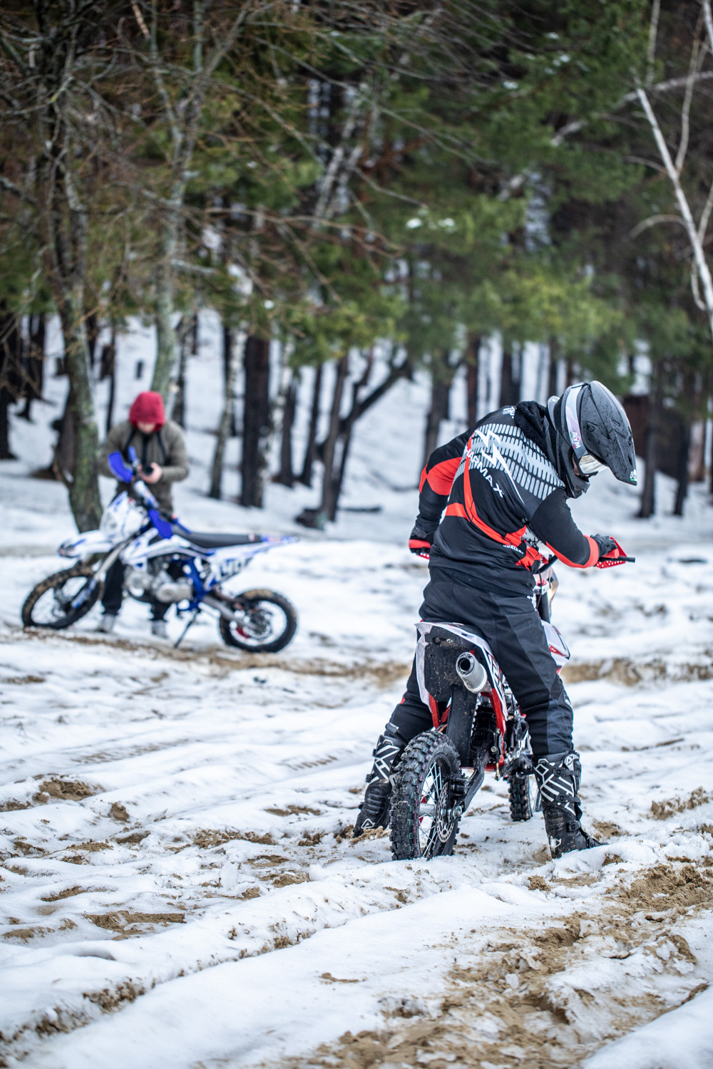 Купить Мотоцикл питбайк SHARMAX PowerMax 125 (2024) в Москве фото29