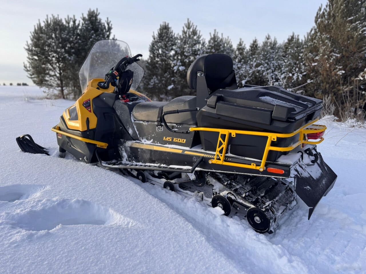 Купить Снегоход STELS Ставр MS600 CVTech Б/У в Москве фото4