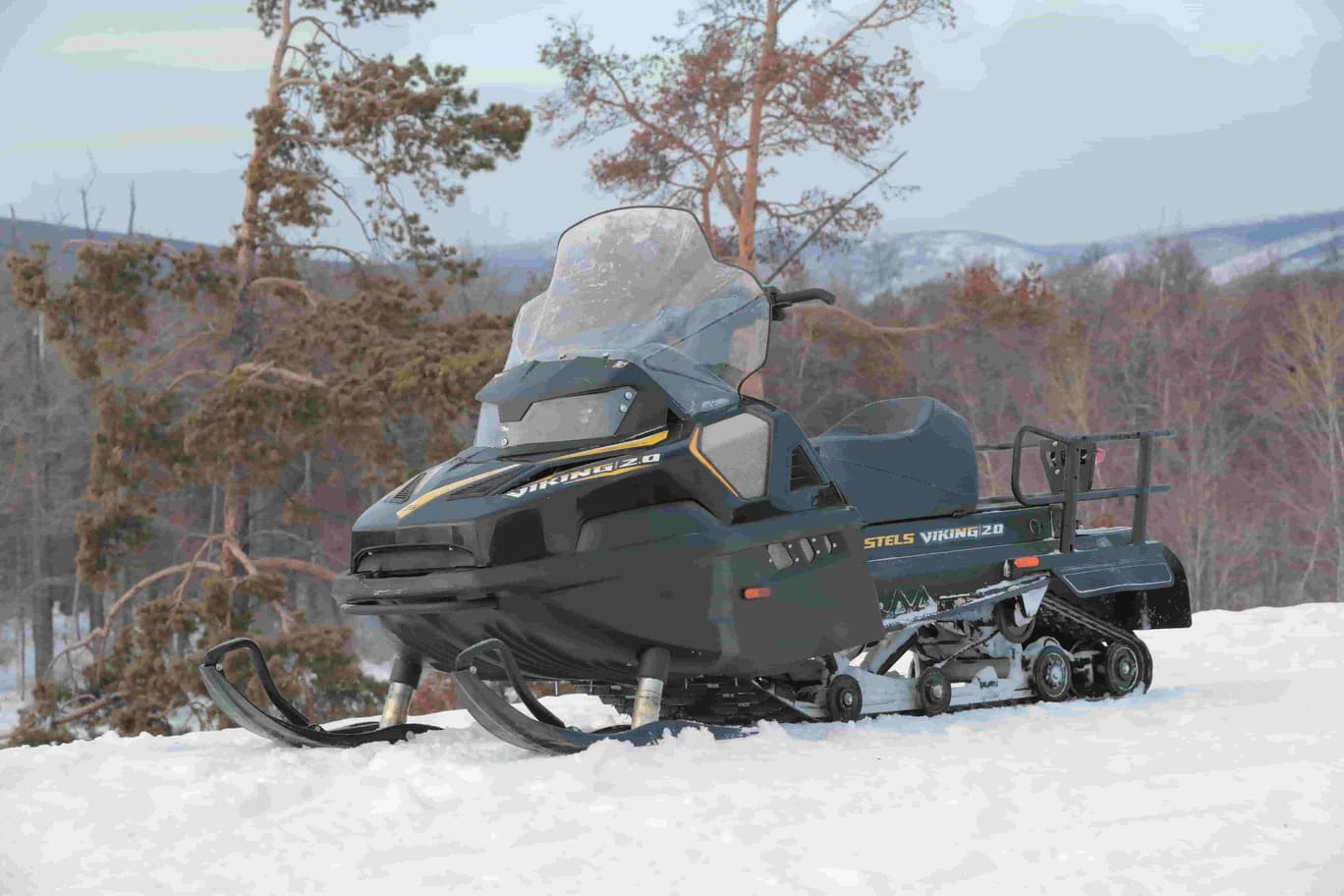 Купить Снегоход STELS S600 Viking ST 2.0 CVTech в Москве фото7