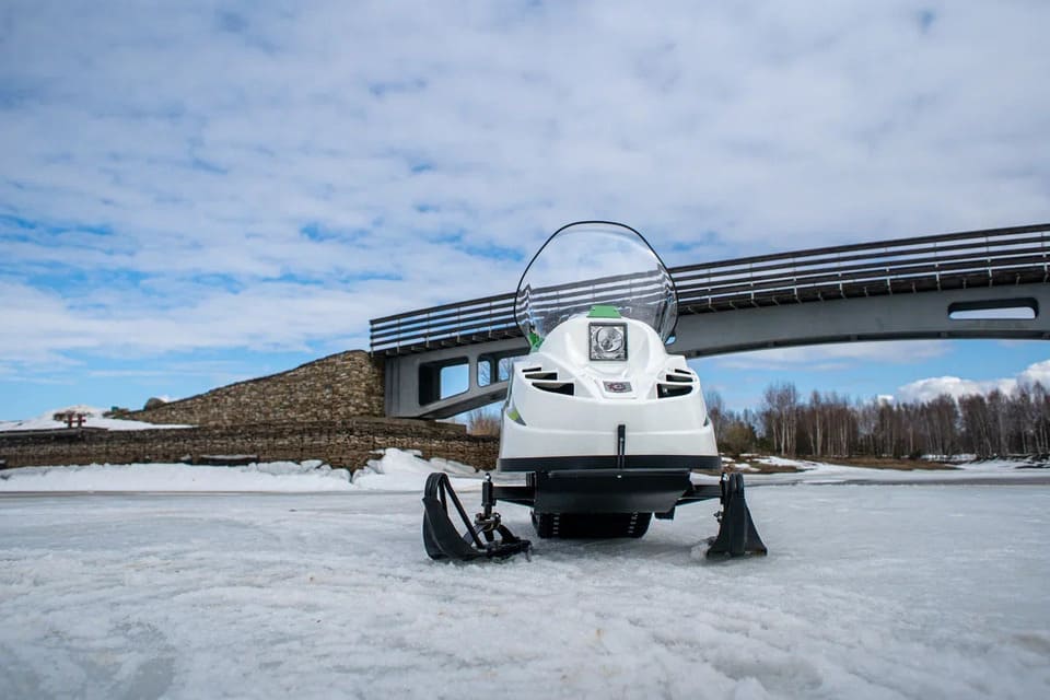 Купить Снегоход БТС Артик-4Т в Москве фото2