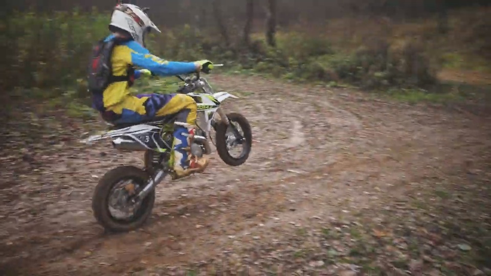 Купить Мотоцикл BRZ X4 125cc PITBIKE в Москве фото10