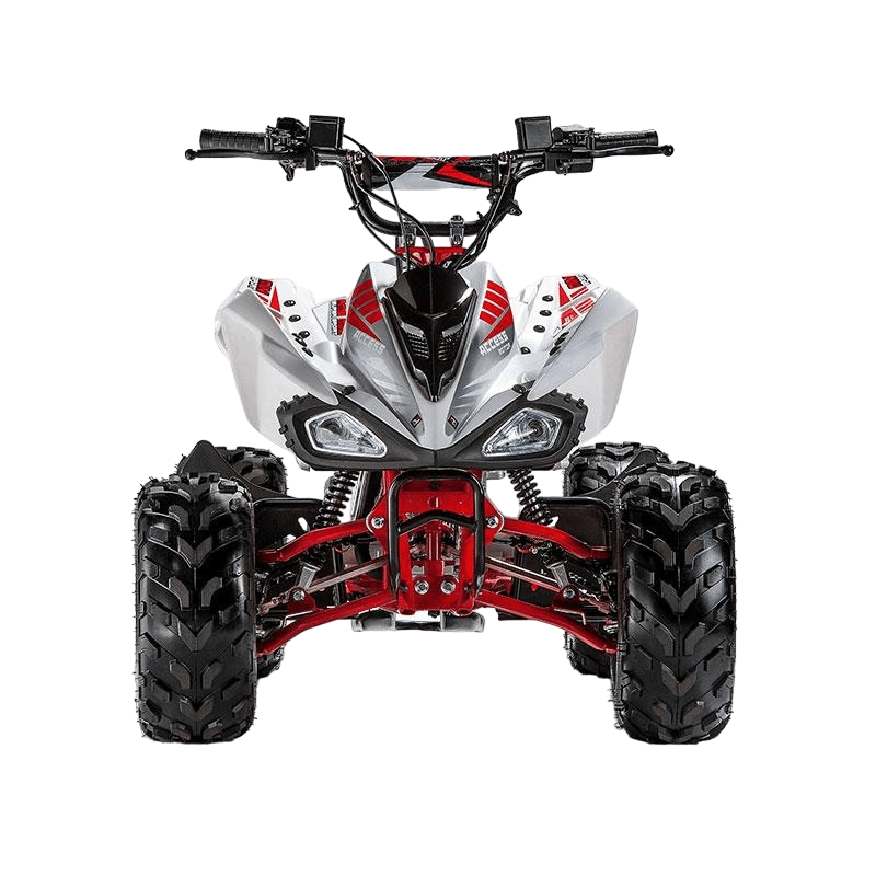 Купить Квадроцикл ACCESS AMS 110 MiniSport в Москве фото2