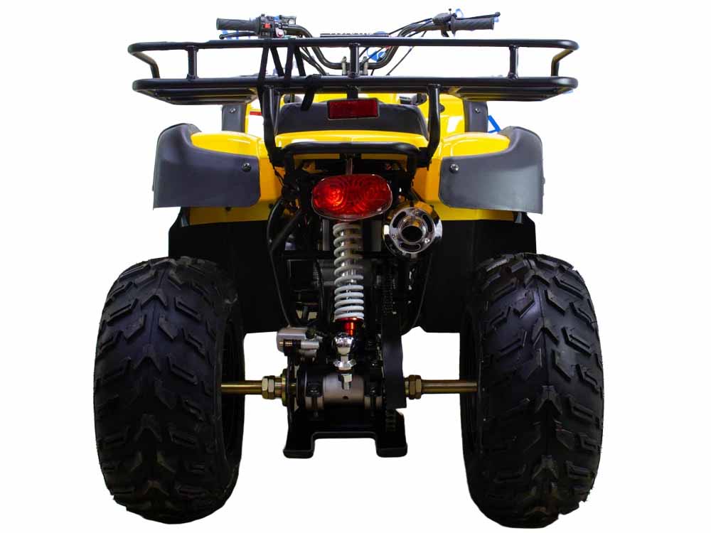 Купить Квадроцикл ATV Classic 200 в Москве фото7