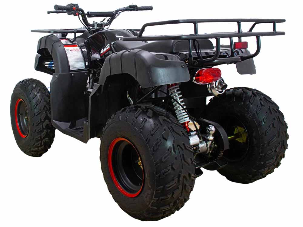 Купить Квадроцикл ATV Classic 200 в Москве фото8