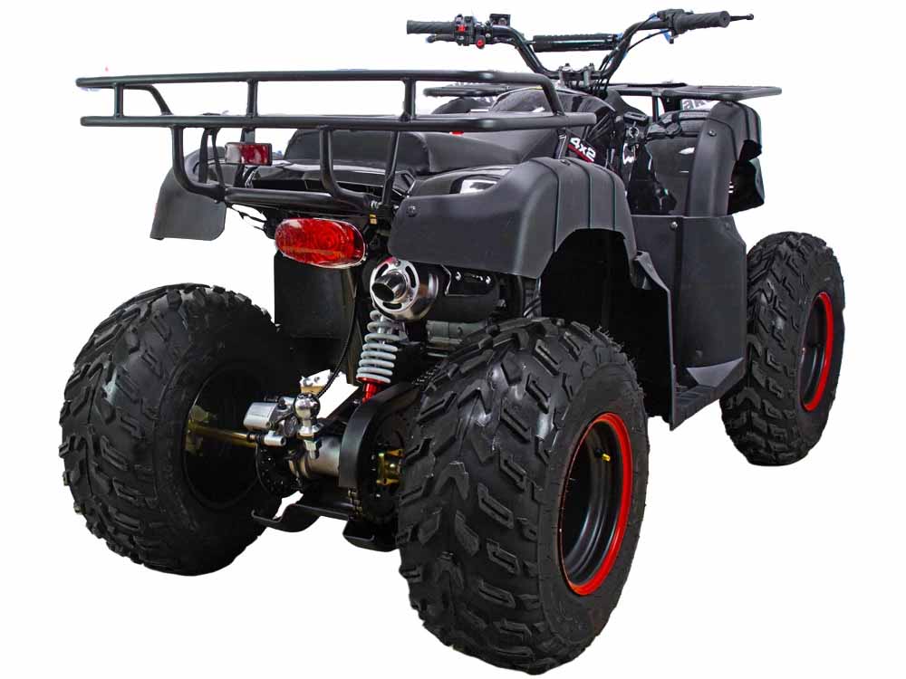 Купить Квадроцикл ATV Classic 200 в Москве фото10