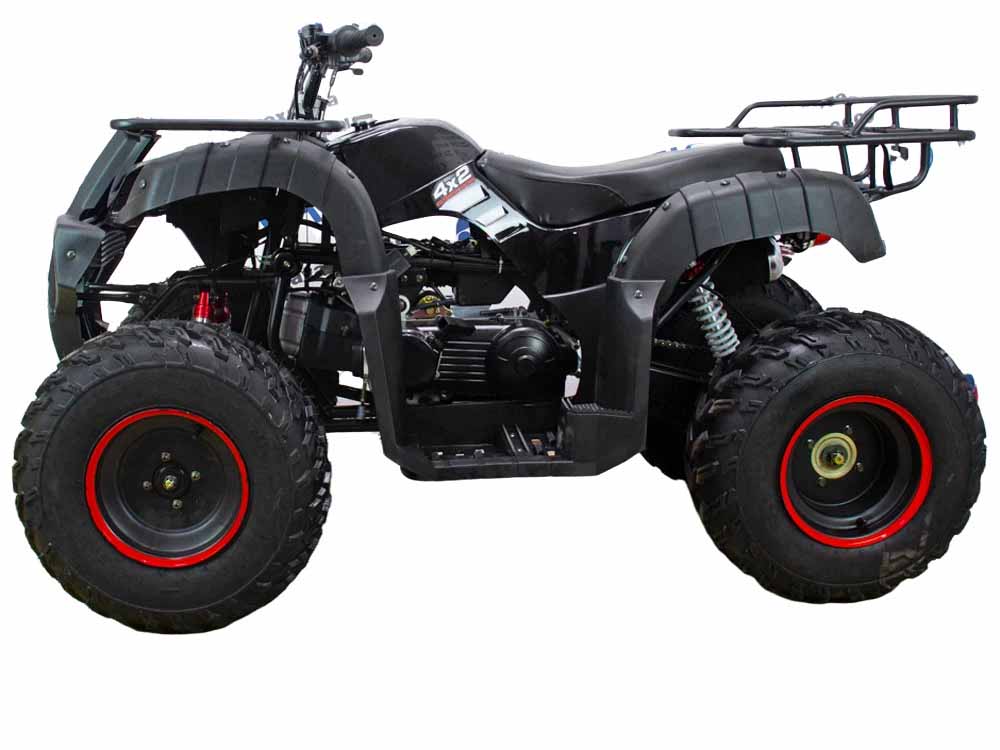 Купить Квадроцикл ATV Classic 200 в Москве фото12