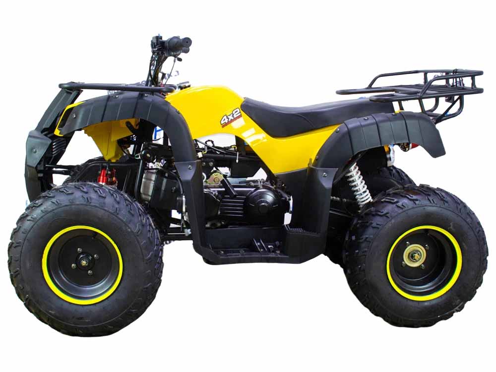 Купить Квадроцикл ATV Classic 200 в Москве фото13