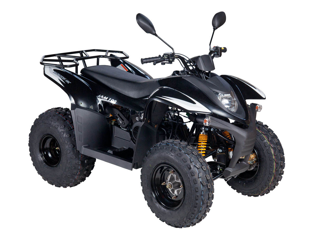 Купить Квадроцикл BALTMOTORS Jam 100 в Москве фото2