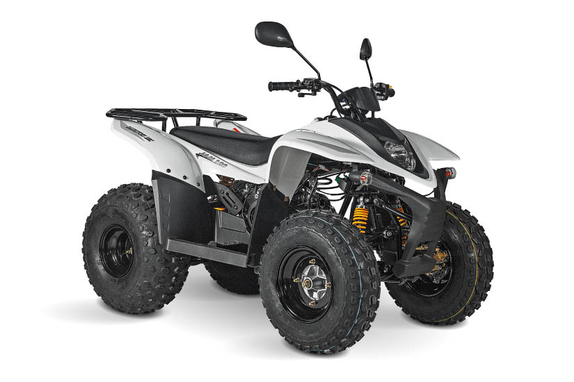 Купить Квадроцикл BALTMOTORS Jam 100 в Москве фото3