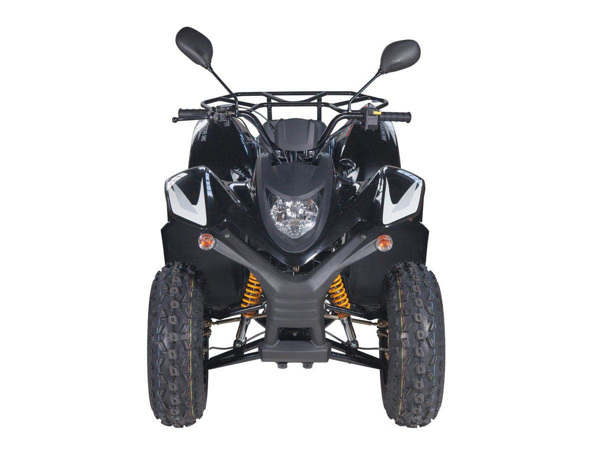 Купить Квадроцикл BALTMOTORS Jam 100 в Москве фото4