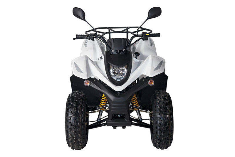 Купить Квадроцикл BALTMOTORS Jam 100 в Москве фото5