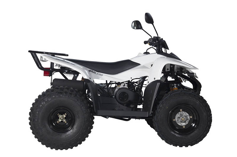 Купить Квадроцикл BALTMOTORS Jam 100 в Москве фото6