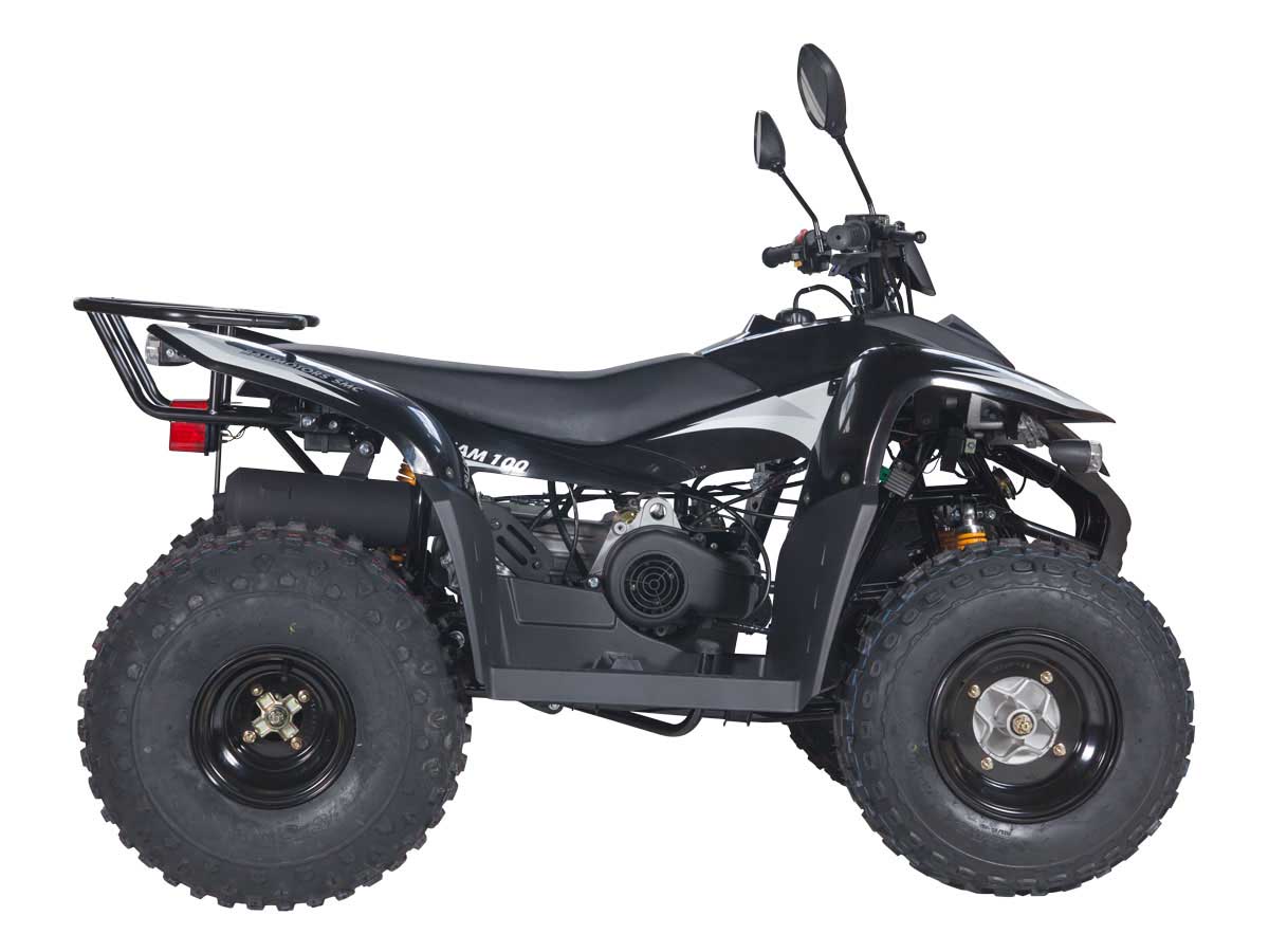 Купить Квадроцикл BALTMOTORS Jam 100 в Москве фото7
