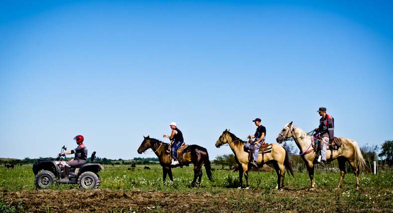 Купить Квадроцикл BALTMOTORS Striker 700 EFI (ПСМ) в Москве фото15